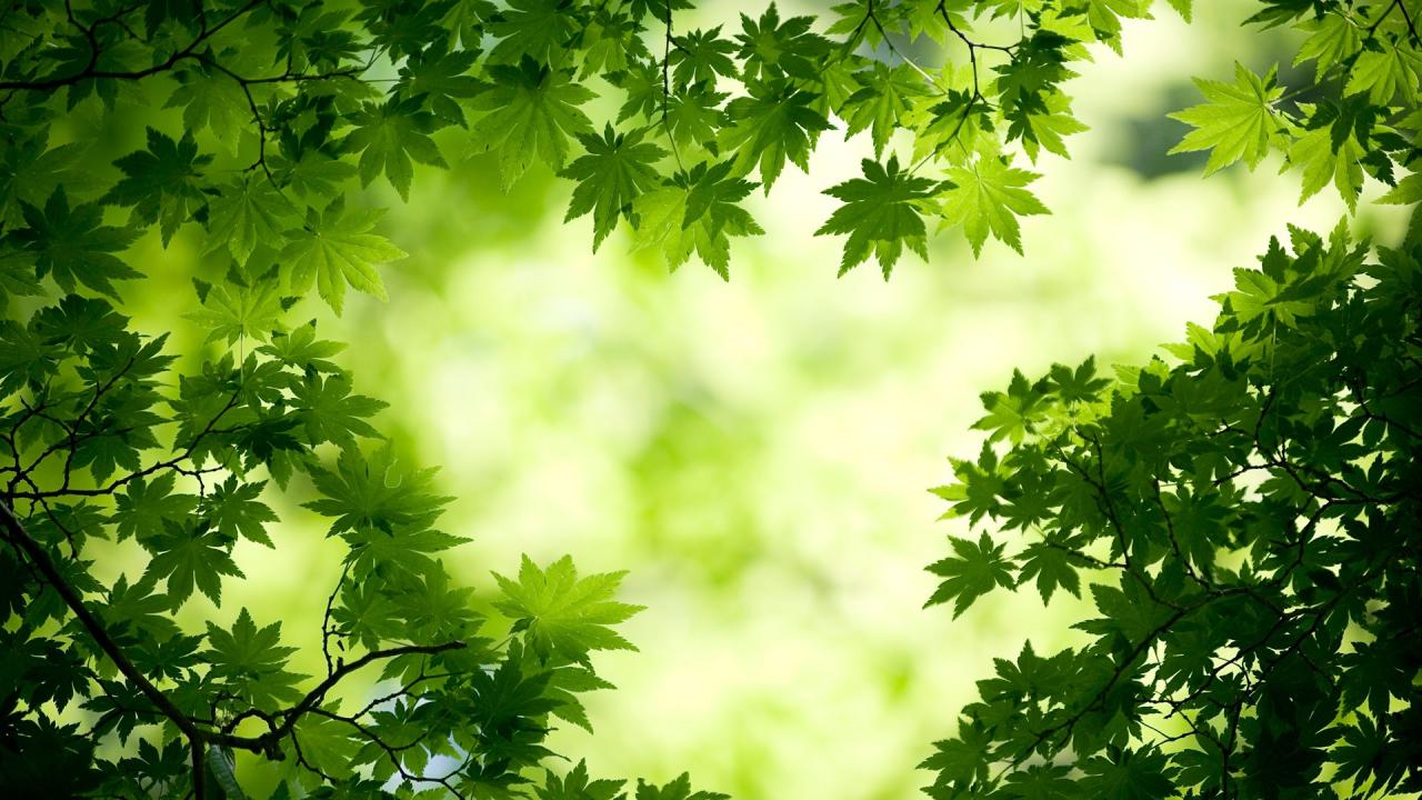 直播私域平台(直播私域平台有哪些)