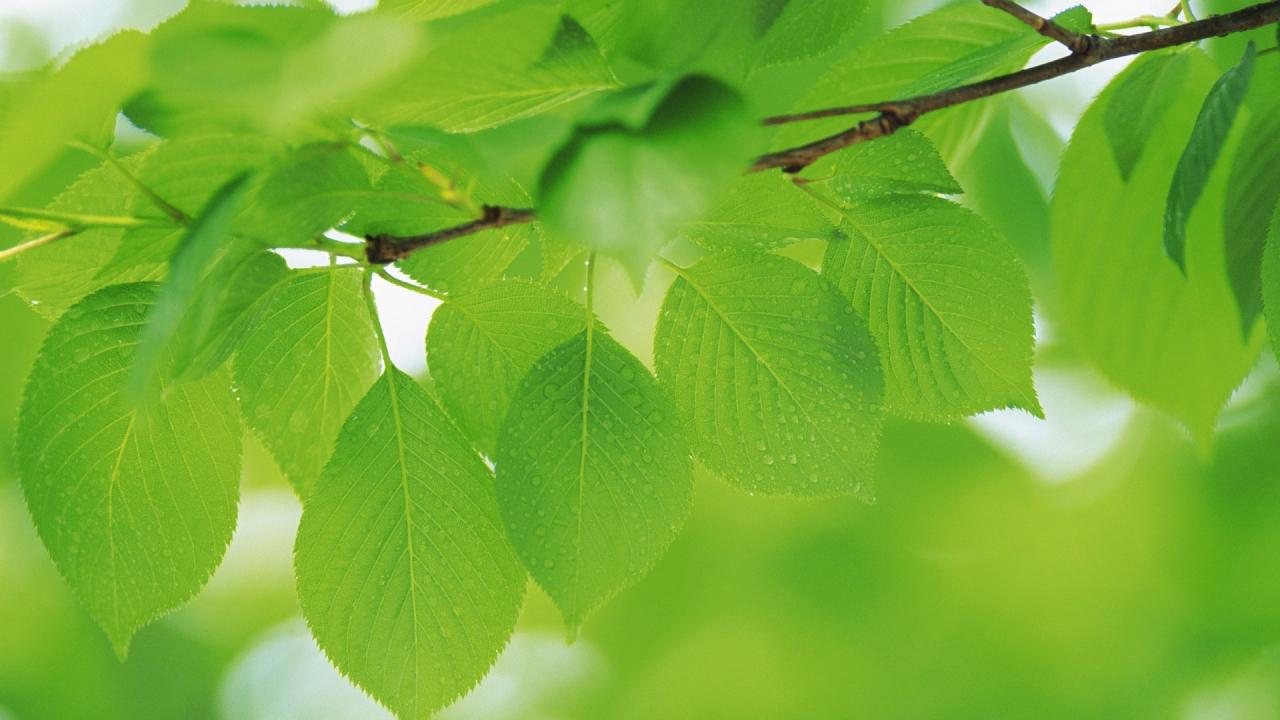 快手普通人根本上不了热门(快手怎么养号容易热门)